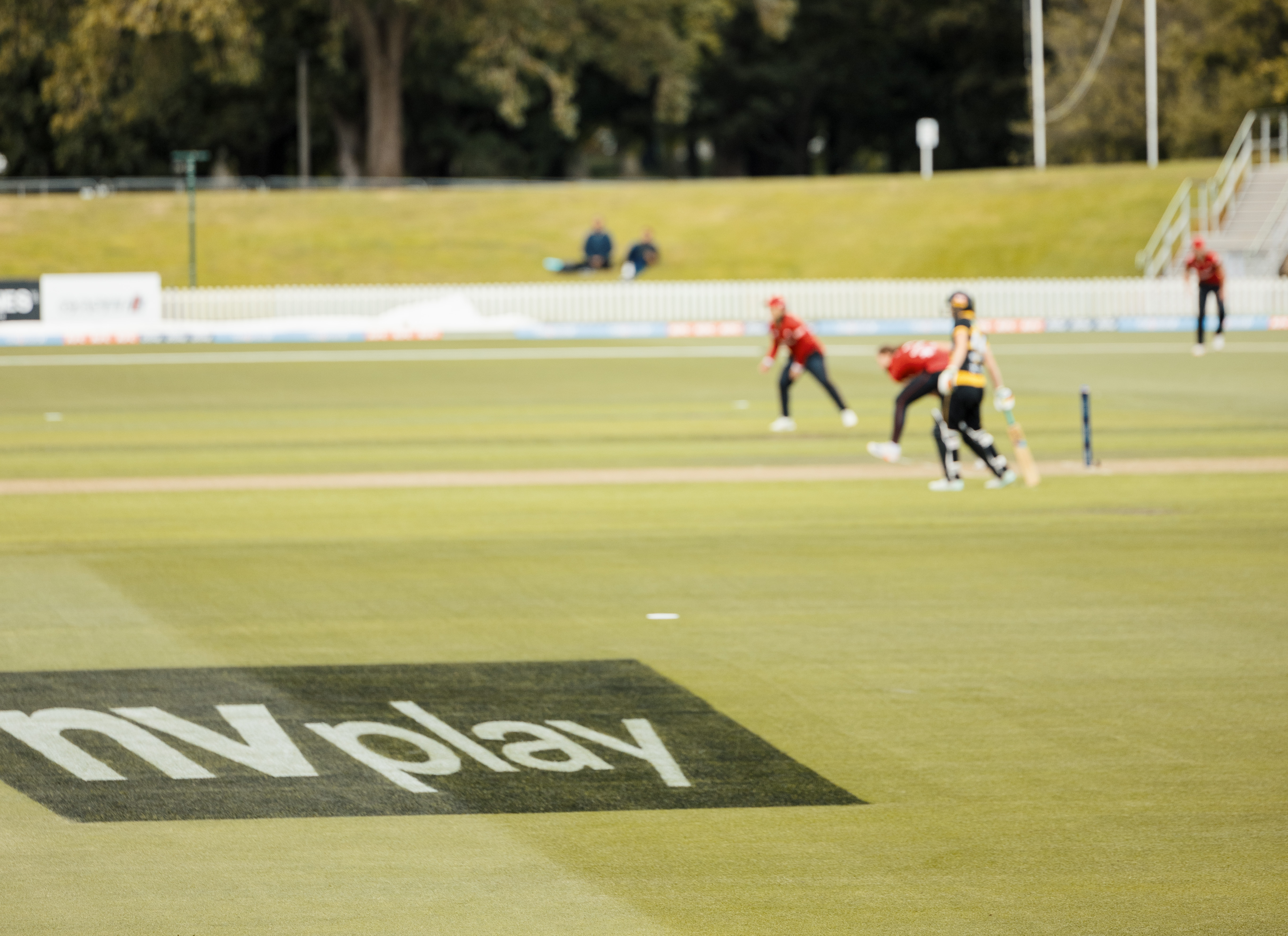 NV Play logo on cricket green at Hadley Oval in Christchurch during Canterbury Cricket game