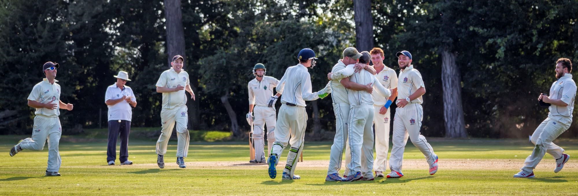 Recreational cricketers celebrating success
