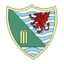 Ynystawe Cricket Club